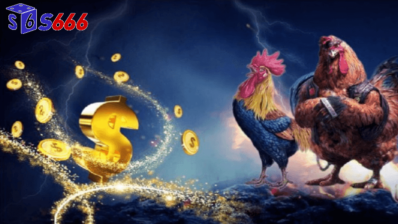 Theo dõi thông tin và nhận định từ chuyên gia