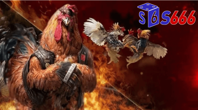 tham gia đá gà tại nhà cái S666