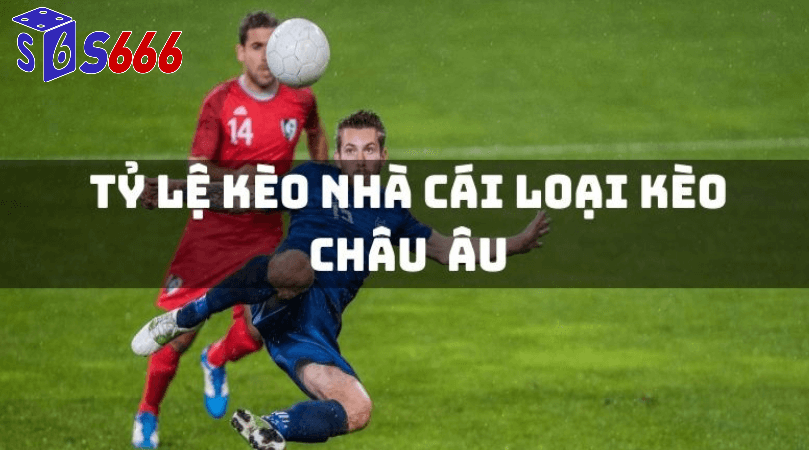 Chiến Lược Đặt Cược Hiệu Quả Tại S666